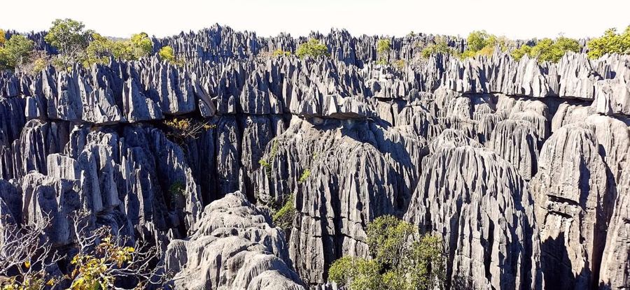 Forêt de pierre des Tsingy de Bemaraha